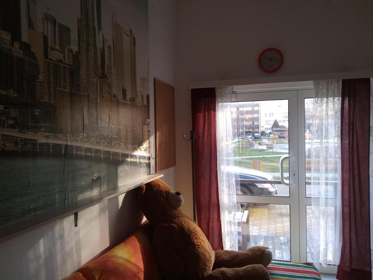 Apartament Przy Parku Noclegi Płock エクステリア 写真